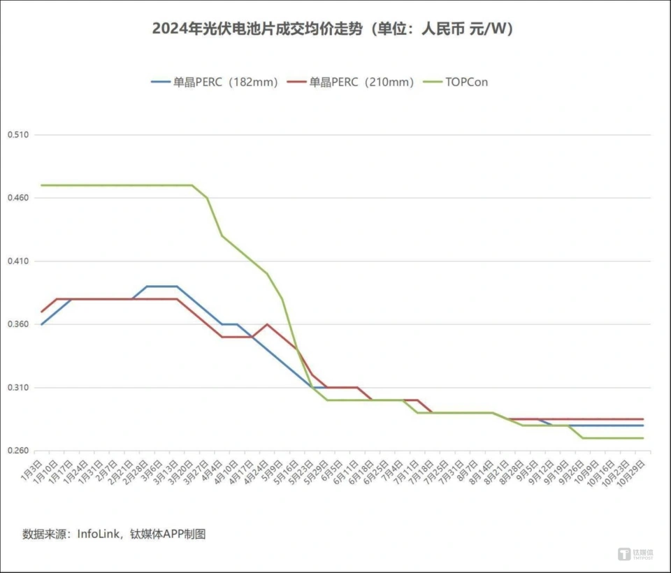 4.webp