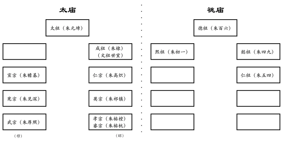 7.webp