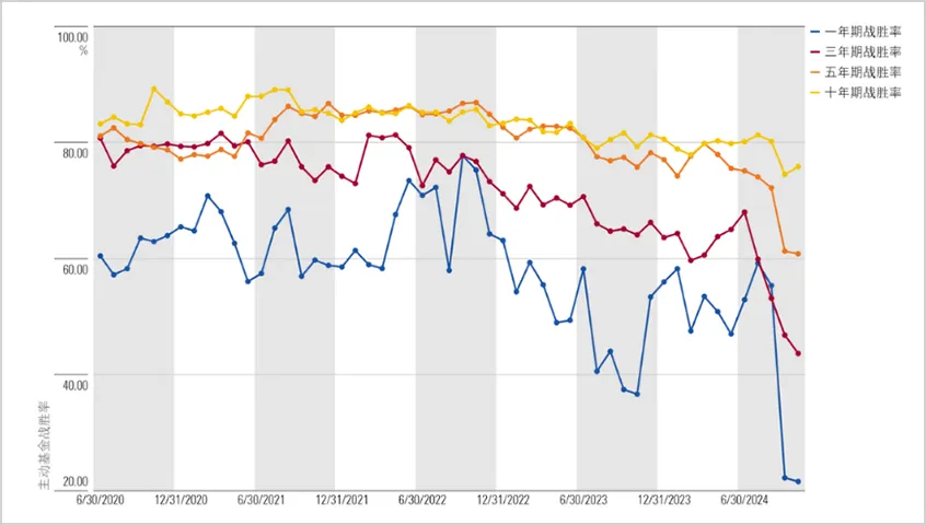 3.webp