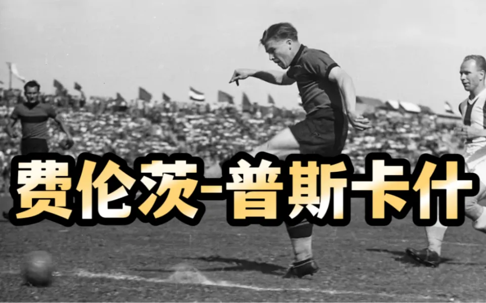 29.webp