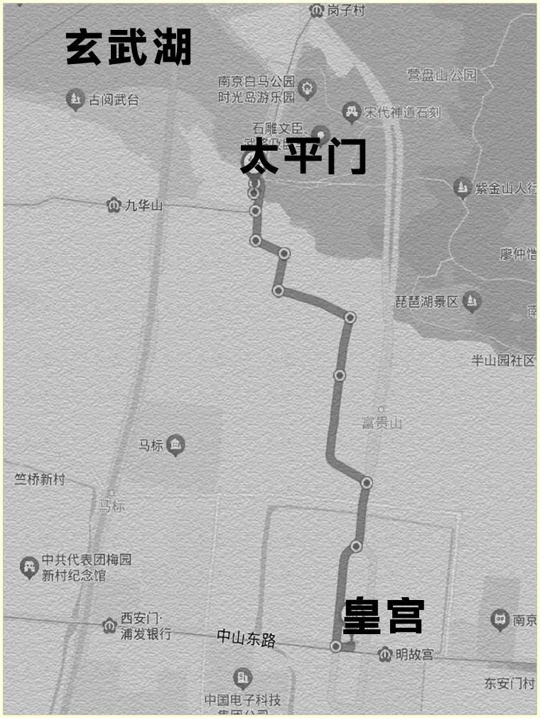 5.webp