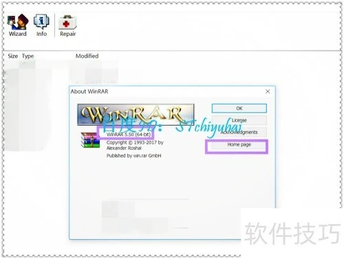 4.webp