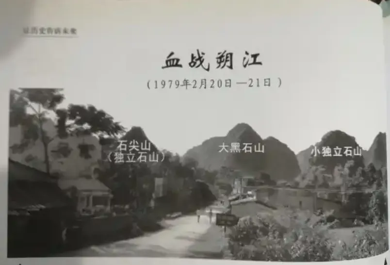 4.webp