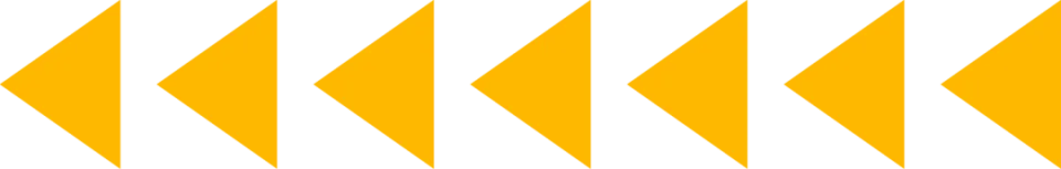 13.webp