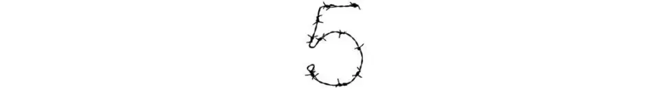 8.webp