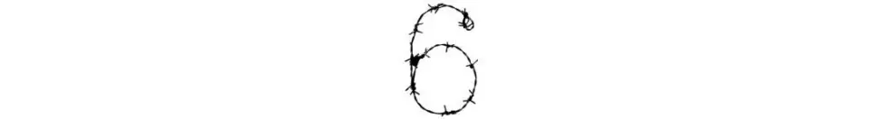 9.webp