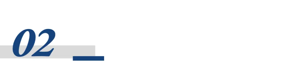 6.webp