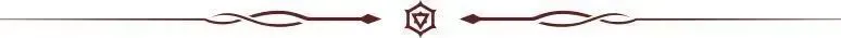 17.webp